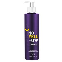 Shampoo antigiallo Compagnia del Colore 500ml